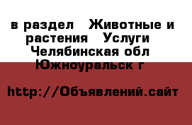  в раздел : Животные и растения » Услуги . Челябинская обл.,Южноуральск г.